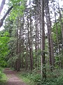 Matthaei Botanical Gardens 2010 0535